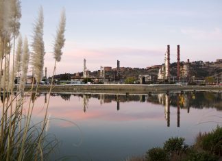 Chevron Speaks: Our Commitment to Protecting the Environment