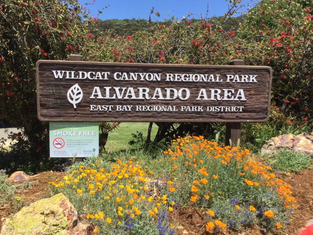 Richmond firefighters to join community hike at Alvarado Park