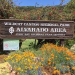 Wildcat Canyon among parks closed due to high winds Richmond firefighters to join community hike at Alvarado Park