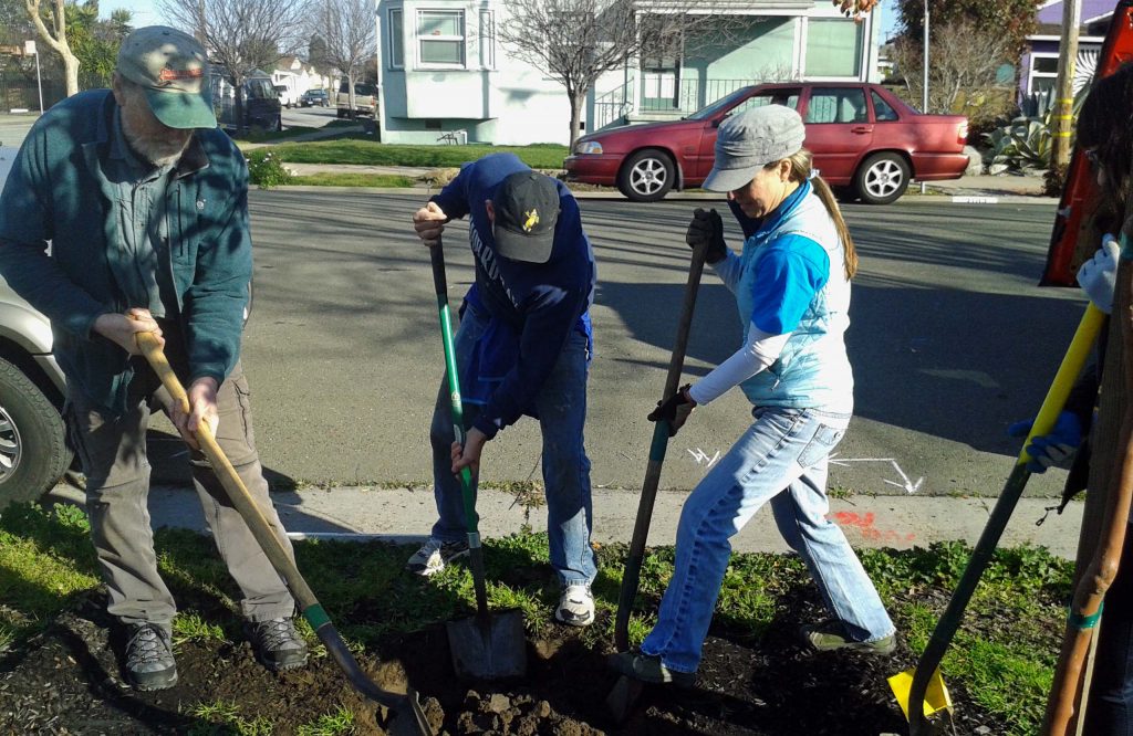 Richmond Trees recognized for caring for city's urban forest