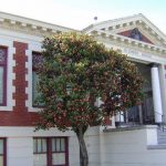 Richmond museum to hold ‘Day of Learning’ about Holocaust Richmond Museum of Day holding Family Free Day on Saturday, Aug. 18