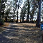 Bay Trail in Richmond grows from 12 to 35 miles in two decades Richmond parks and open spaces won big in this election