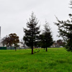 Atchison Park to be renamed ‘Richard J. Boyd Park’ Atchison Park likely to be renamed 'Richard J. Boyd Park'