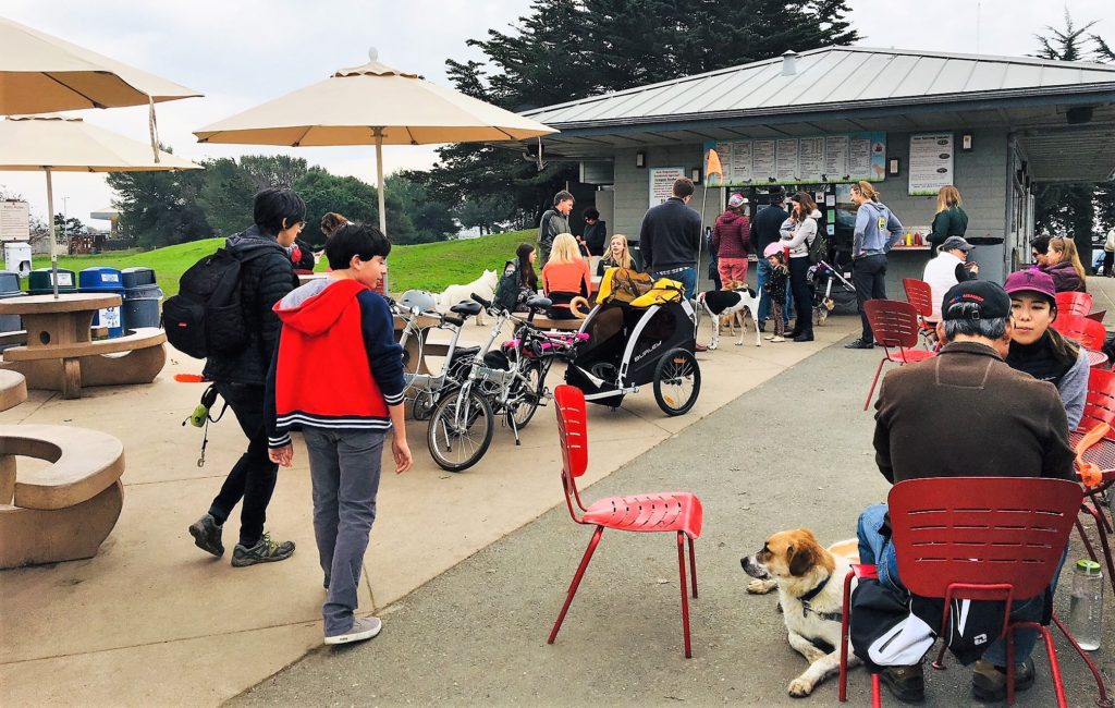 Dogfriendly Richmond Places to pal around with your pooch Richmond