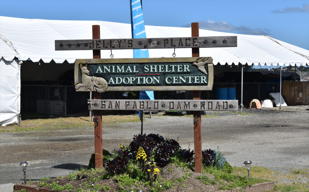 Jelly’s Place holds out hope in finding new home