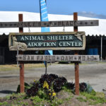 SPPD donation drive to help furry friends with essentials Jelly’s Place holds out hope in finding new home
