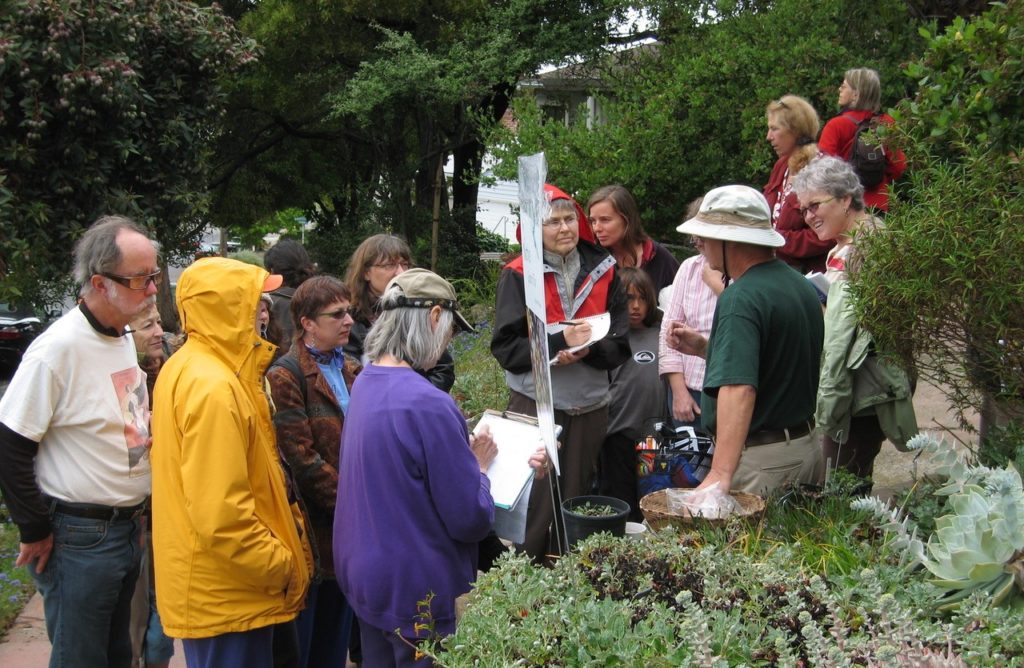 Registration opens for 15th Annual Bringing Back the Natives Garden Tour