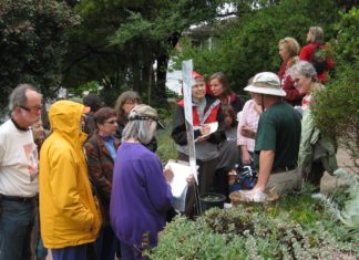 Registration opens for Bringing Back the Natives Garden Tour Registration opens for 15th Annual Bringing Back the Natives Garden Tour