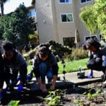 477 Salesian students, staff join day of community service 477 Salesian students, staff participate in day of community service
