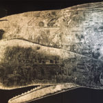 Life size whale artwork makes big splash at Richmond Art Center Life size whale artwork makes big splash at Richmond Art Center