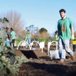 Festival of Flowers to honor moms at North Richmond Farm Festival of Flowers to honor moms at North Richmond Farm