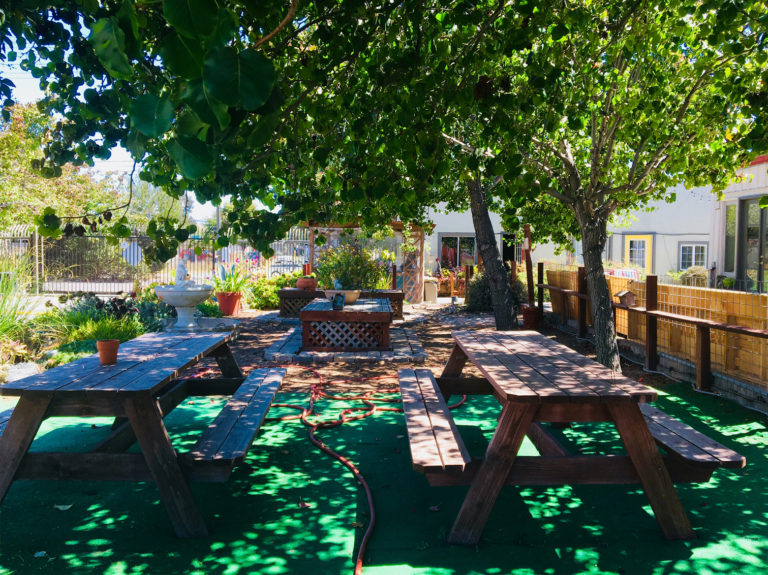 Prime picnic spots in Richmond Richmond Standard