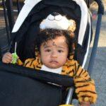 Trick-or-Treat on 23rd Street canceled again this year Trick-or-Treat on 23rd Street canceled again this year