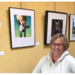 New art exhibit launches at El Sol Restaurant