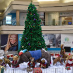 Free Selfies with Santa starts at the Shops at Hilltop