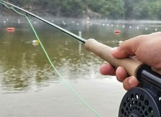 EBRPD to offer Free Park Day on Juneteenth Skip the malls, hit the trails -- free park day on Green Friday