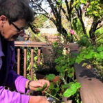 East Bay nonprofit checking in on self-isolating seniors East Bay nonprofit checking in on quarantined seniors
