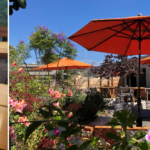 The Factory bar sets opening date The Factory bar sets opening date