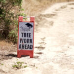$10M from state budget to address ‘sudden tree die-off’ in East Bay parks $10M from state budget to address 'sudden tree die-off' in East Bay parks