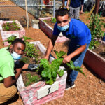 New Richmond victory garden to supply fruits, veggies to people in need New Richmond victory garden to supply fruits, veggies to people in need