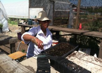 Urban Tilth plants permanent roots with North Richmond land acquisition Urban Tilth plants permanent roots with North Richmond land acquisition