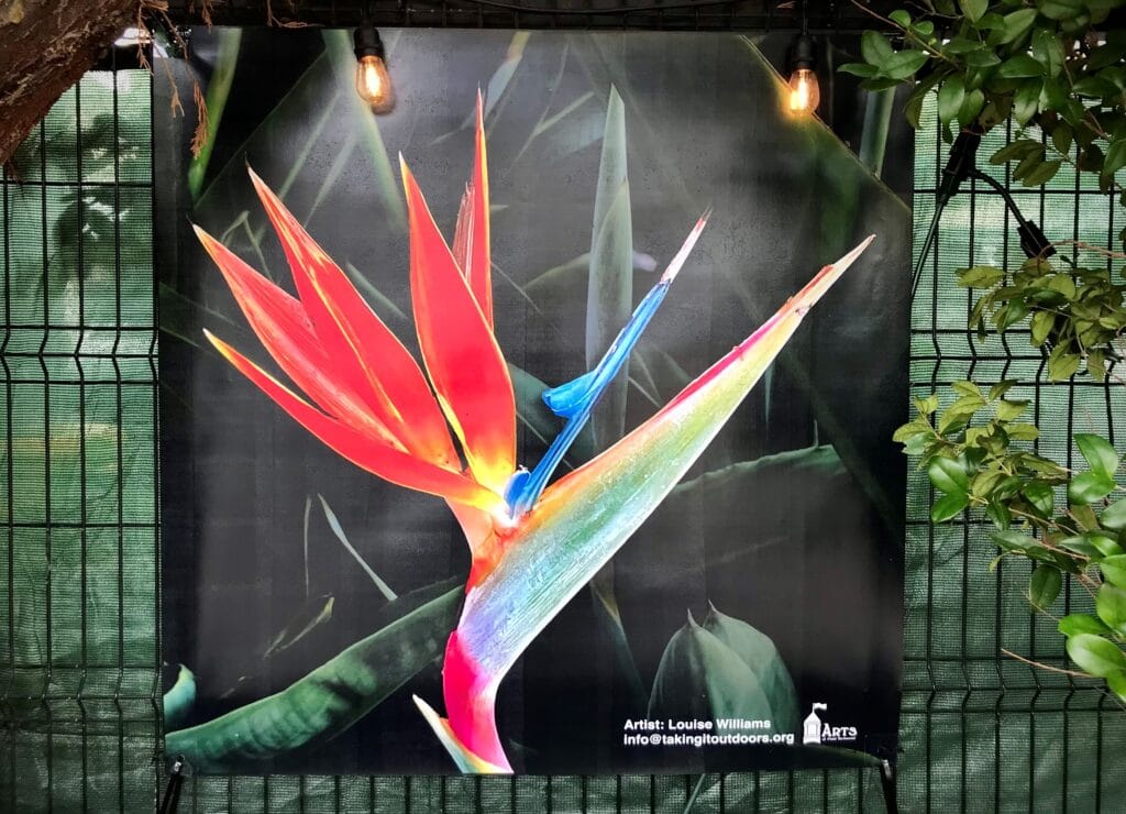 Art Banner by Louise Williams. Pic courtesy of Arts of Point Richmond