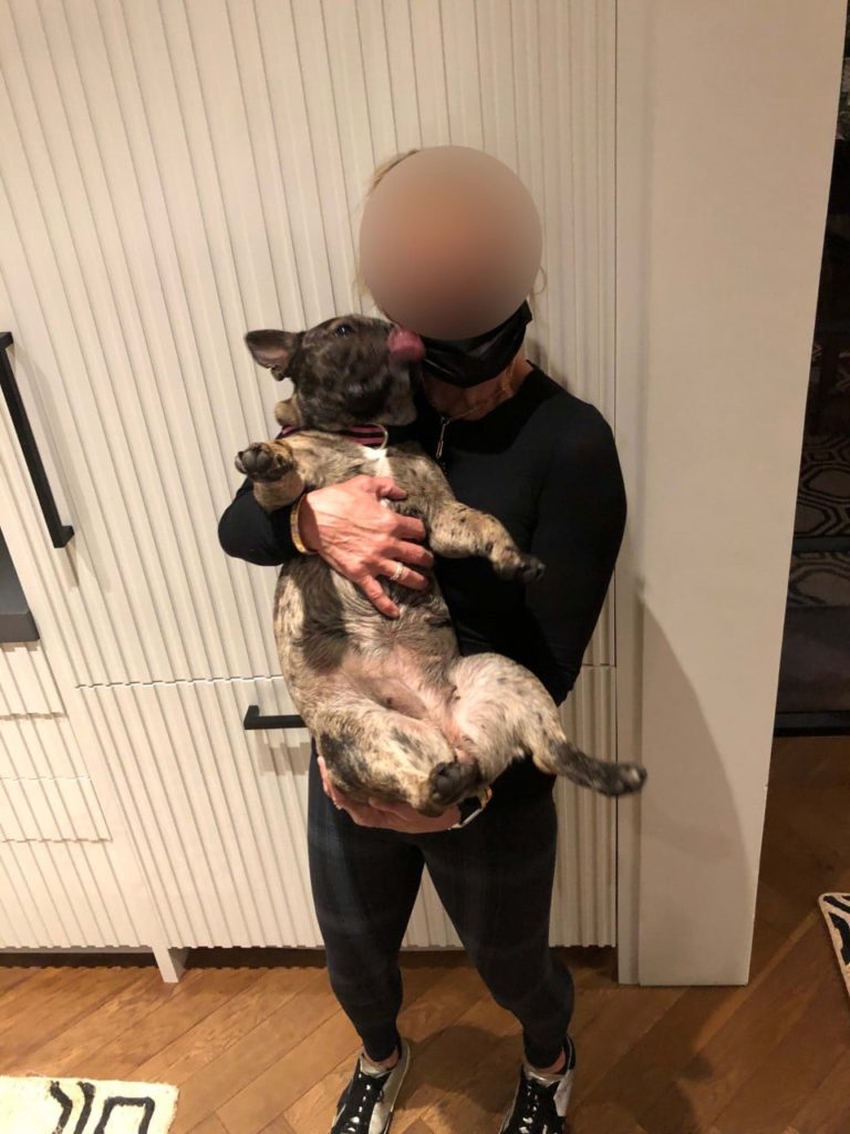 Stolen vehicle connected to robbery of puppy in SF located in San Pablo