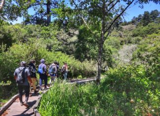 Big City Mountaineers’ new Richmond nest offers room to spread its wings Big City Mountaineers’ new Richmond nest offers room to spread its wings