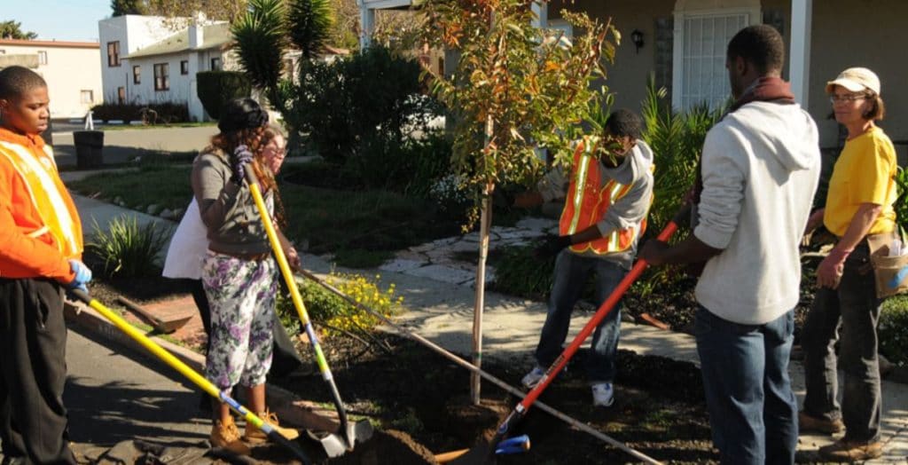 Richmond Trees celebrates first decade, seeks volunteers