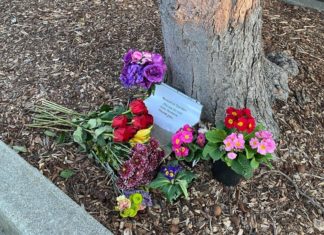 El Cerrito Library officials mourn death of regular patron Daniel Vigil El Cerrito Library officials mourn death of regular patron Daniel Vigil