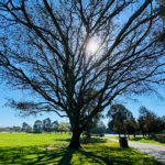 Health & Wellness Resource Fair coming to Nicholl Park Health & Wellness Resource Fair coming to Nicholl Park
