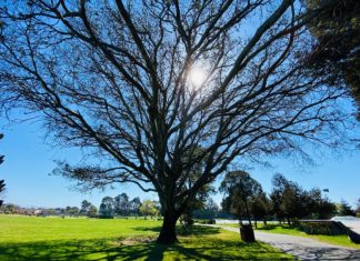 Richmond’s ‘ParkRx Day’ just what the doctor ordered Health & Wellness Resource Fair coming to Nicholl Park