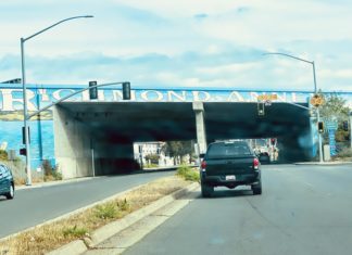 Panhandle Annex neighborhood ‘loves their block’ with project teamwork Panhandle Annex neighborhood 'loves their block' with project teamwork