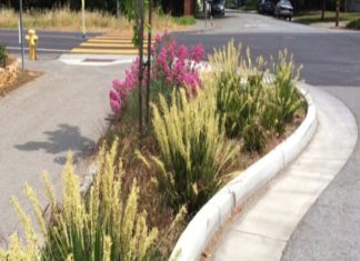 Greening project slated for Sutter Avenue in San Pablo Greening project slated for Sutter Avenue in San Pablo