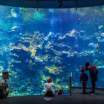 Discover & Go program offering free Clipper cards to select attractions Discover & Go program offering free Clipper cards to select attractions