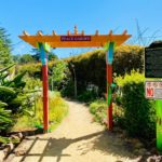Mother’s Day ‘Walk for Peace’ to link El Cerrito and Richmond communities Free parking is available at the start of the route at 6712 Portola Drive, home of the Sera Jey Foundation. The foundation provides Buddhist philosophy programs and ritual services for the Tibetan community and the public. From there, the trail leads into the hills toward the Peace Garden at the Gyuto Foundation, located at 6401 Bernhard Ave. This quiet reflection space sits within a Tibetan Buddhist monastery along the Wildcat Canyon Path. Hikers will also see panoramic views of the San Francisco Bay while traveling between the two sites.