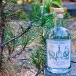 Dissident Spirits honored for ‘Best U.S. Gin’ at prestigious competition Dissident Spirits honored for ‘Best U.S. Gin’ at prestigious competition