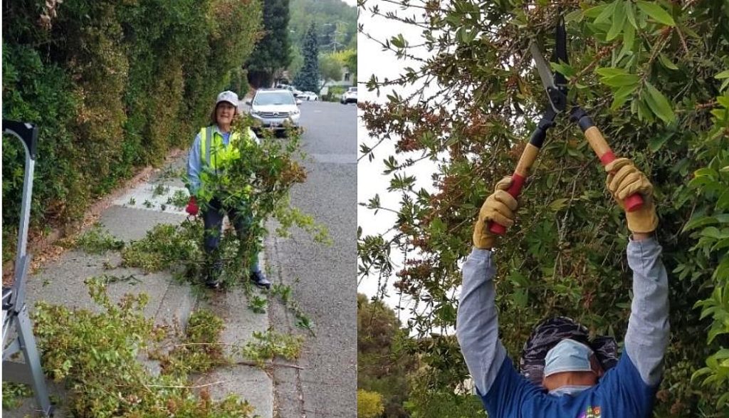 Richmond neighborhood bands together to clear excess vegetation