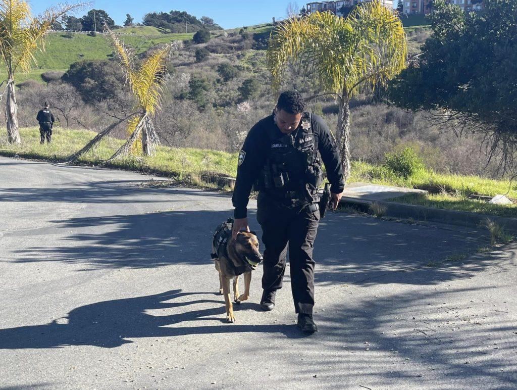 Dine-and-dash suspects busted after returning to restaurant for backpack