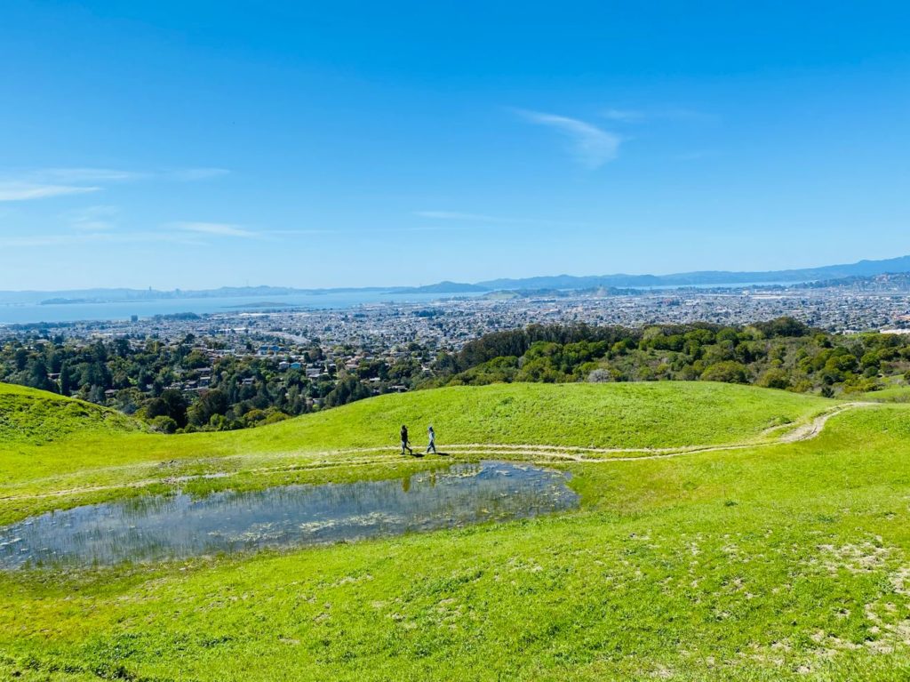 A few of My Favorite Things: Wildcat Canyon’s Monte Cresta Trail