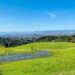 A Few of My Favorite Things: Wildcat Canyon’s Monte Cresta Trail A few of My Favorite Things: Wildcat Canyon’s Monte Cresta Trail