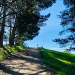 EBRPD to celebrate ‘Green Friday’ by waiving all entrance fees EBRPD to celebrate 'Green Friday' by waiving all entrance fees