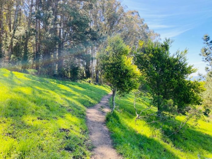 Skip the malls, hit the trails -- free park day on Green Friday