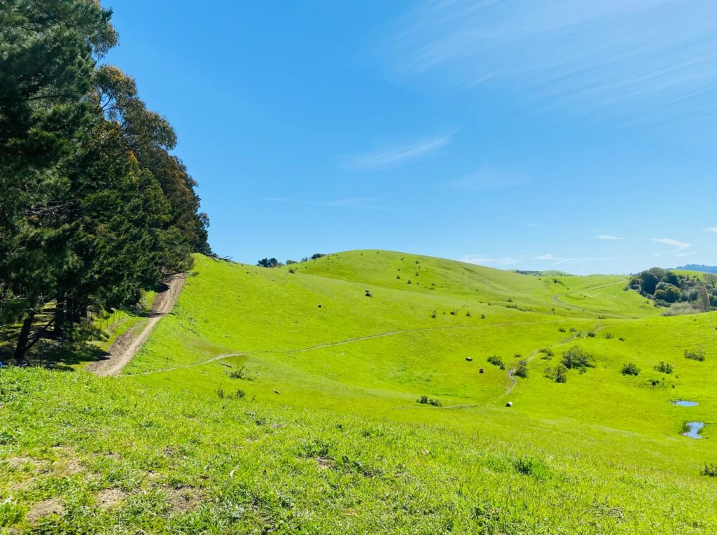 East Bay Parks appeal for public input on District Plan