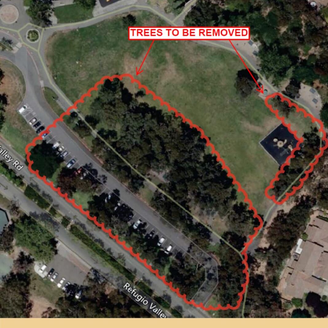 Hercules closes parts of Refugio Park to remove about 40 Eucalyptus