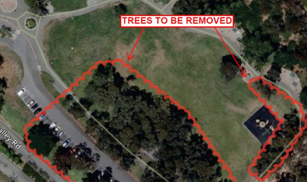 Hercules closes parts of Refugio Park to remove about 40 Eucalyptus