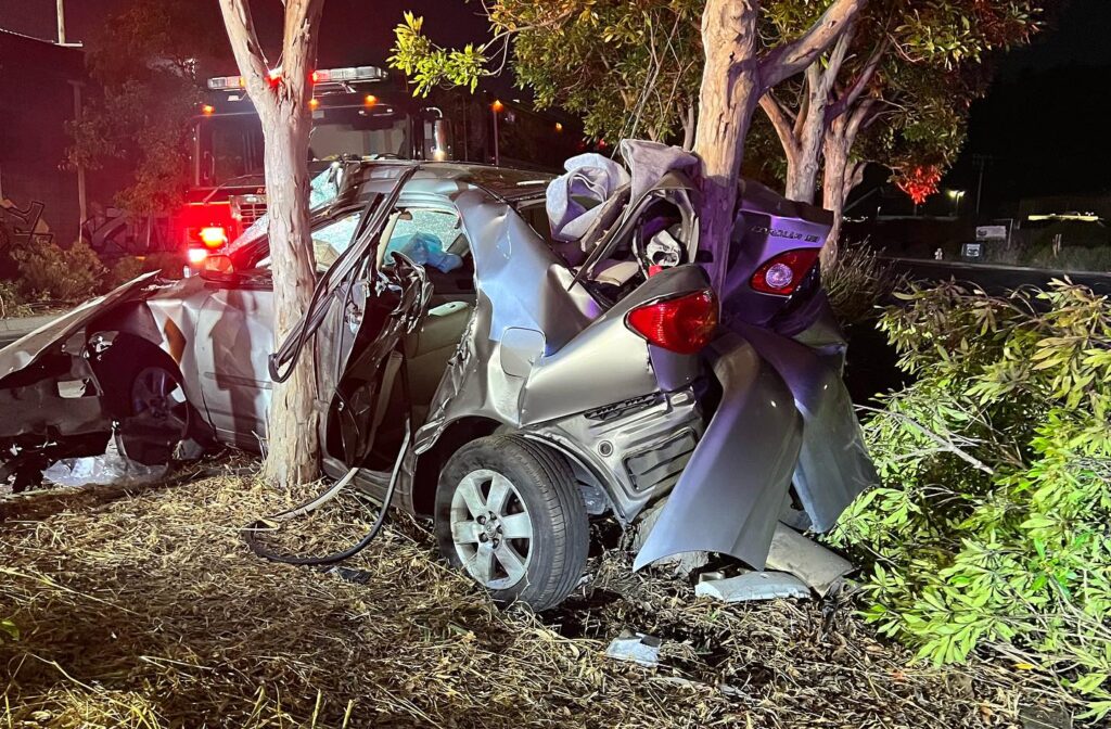 Driver survives high-speed collision with center median trees on Canal Blvd.