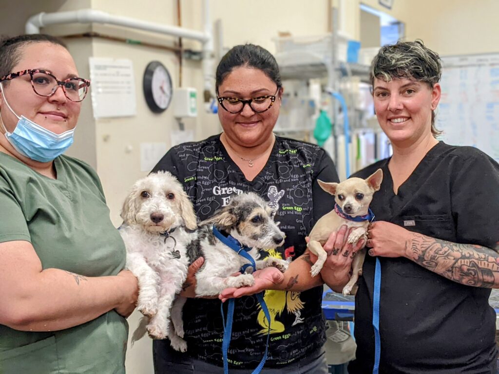 Animal Fix Clinic’s GoFundMe to support new state-of-the-art space
