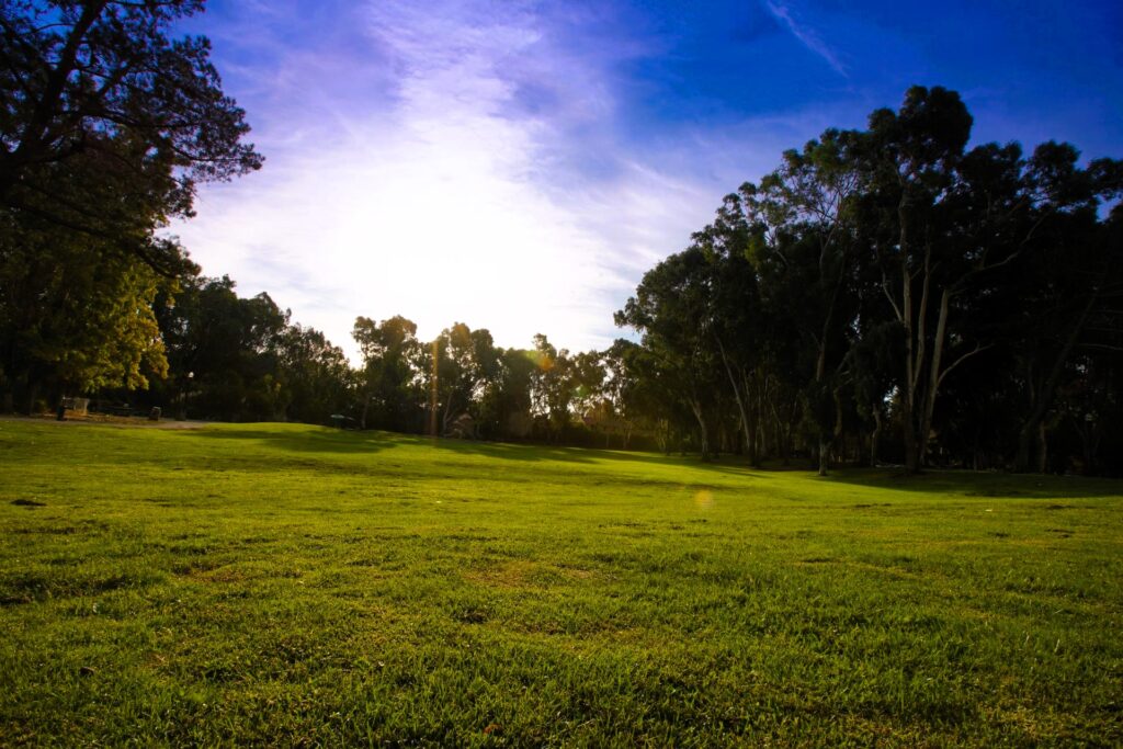  In exchange for their volunteerism, each participant will receive a small giveaway to express our appreciation.