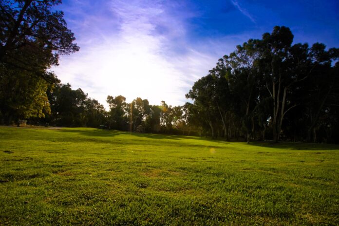  In exchange for their volunteerism, each participant will receive a small giveaway to express our appreciation.